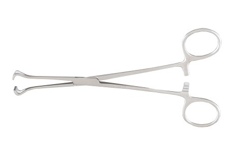 BABCOCK INTESTINAL FORCEPS, 9.25in (24.1cm),
15mm WIDE JAWS