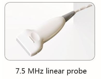 picture of Whittemore 7.5 MHz Linear Ultrasound Probe