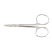 picture of iris scissors