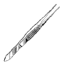 picture of dressing forceps 8  serrated tips