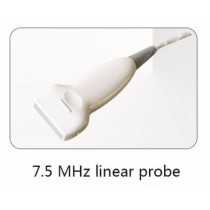 picture of Whittemore 7.5 MHz Linear Ultrasound Probe