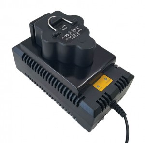 (New) Stryker 4110-120 TYPE Battery Charger, 1-Bay
