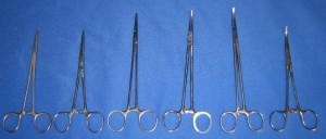 Kelly Forceps, Curved and Straight