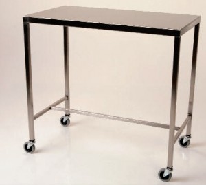 picture of 16 x 20 x 34 s-s instrument table