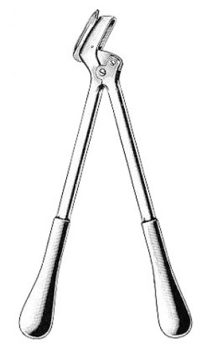 picture of handheld plaster shears stainless