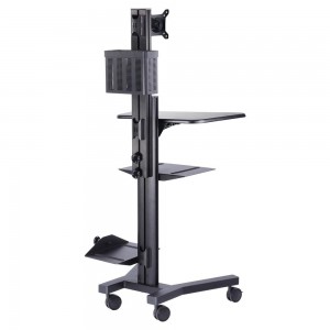 (NEW) WHITTEMORE ENDOSCOPY CART