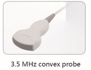 picture of Whittemore 3.5 MHz Convex Ultrasound Probe