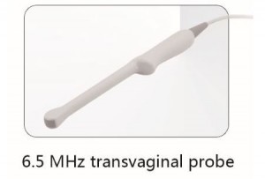 picture of Whittemore 6.5 MHz Transvaginal Ultrasound Probe