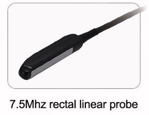 picture of Whittemore 7.5 MHz Rectal Linear Probe