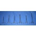 picture of crile forceps
