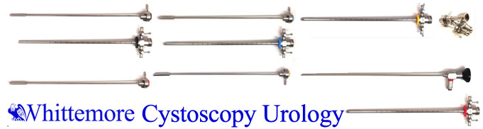 Whittemore Cystoscopy Urology