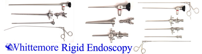 Whittemore Rigid Endoscopy
